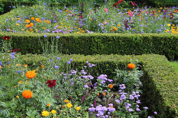 Formal garden design with flower beds surrounded by box hedges  (Amsterdam, Netherlands)