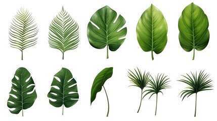  green leaves isolated on white green leaves on white background green leaves set 10 Stunning Leaf Designs That Look Too Perfect to Be Real
