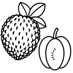 Breadfruit Apple line art vector
