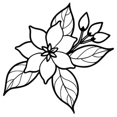 Elegant Jasmine Flower Illustration on a Clean White Background A Versatile Vector Design Element