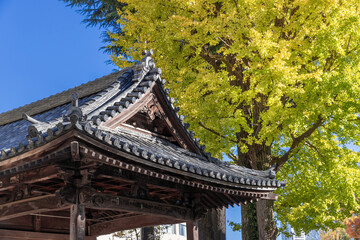 Ornate wooden roof japanese temple