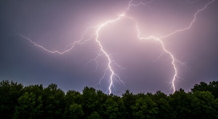Dramatic Lightning Strike Over a Forest Canopy