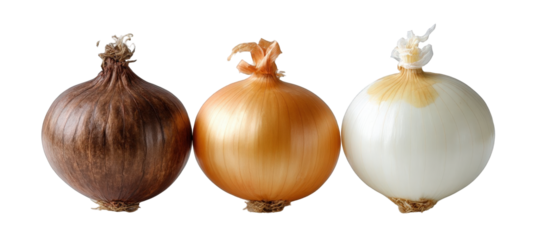 Three types of onions displayed together, showcasing their distinct colors and textures