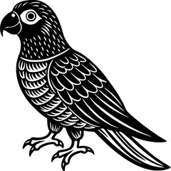 Parrot Bird Animal Tracing Activity Drawing