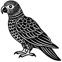 Parrot Bird Animal Tracing Activity Drawing