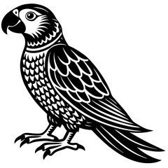 Parrot Bird Animal Tracing Activity Drawing