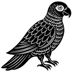 Parrot Bird Animal Tracing Activity Drawing