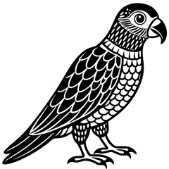 Parrot Bird Animal Tracing Activity Drawing