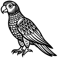 Parrot Bird Animal Tracing Activity Drawing