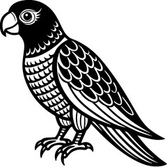 Parrot Bird Animal Tracing Activity Drawing