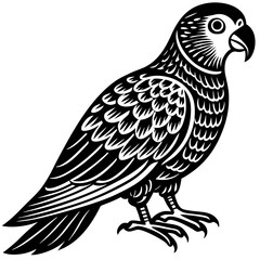 Parrot Bird Animal Tracing Activity Drawing