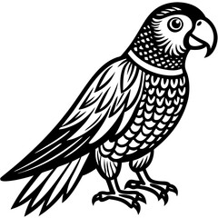 Parrot Bird Animal Tracing Activity Drawing