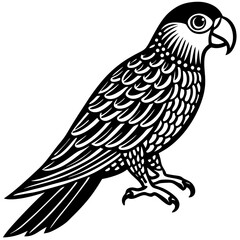 Parrot Bird Animal Tracing Activity Drawing