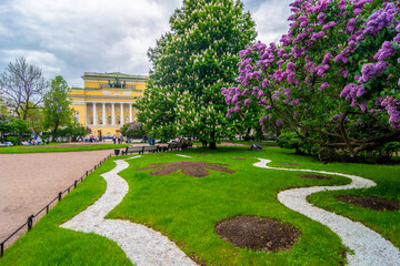 Fototapeta premium St. Petersburg, Russia - 29 may 2025: Spring Petersburg. Blooming lilacs against the backdrop of the Alexandrinsky Theater