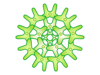 シンプルなクンショウモのイラスト素材