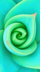 Aqua Green Aloe Vera Plant Spiral Top Down View