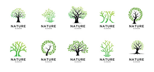 Tree and leaf template custom logo design vector inspiration