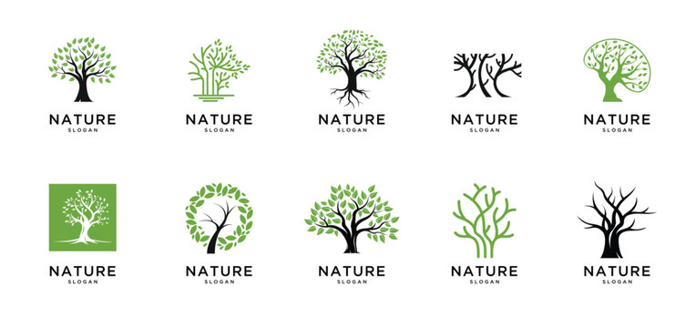 Tree and roots logo illustration collection. Tree of life logo design inspiration