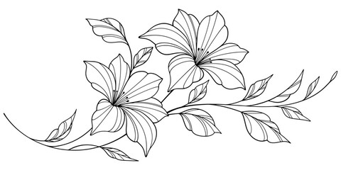 flower and leaves drawing. Vector hand drawn engraved floral card. Botanical, branch and flower Black ink sketch. Great for tattoo, invitations, greeting cards, decor