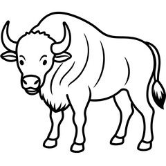 Buffalo line art vector