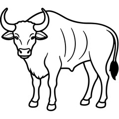 Buffalo line art vector