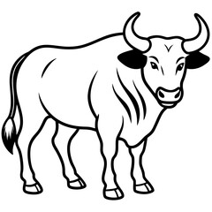 Buffalo line art vector