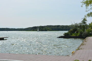 Beautiful beautiful nature, the shore of the Gulf of Finland. A beautiful bright yacht sails on the...