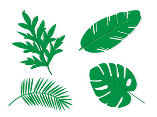 Tropical palm leaves isolated. Banana leaves Monstera plant leaves vector set. Summer forest branches collection. Leaf elements in flat design style