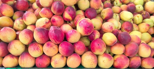 A pile of fresh ripe peach fruits.