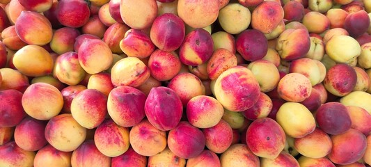 A pile of fresh ripe peach fruits.