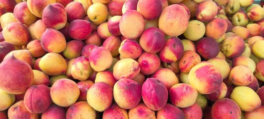 A pile of fresh ripe peach fruits.