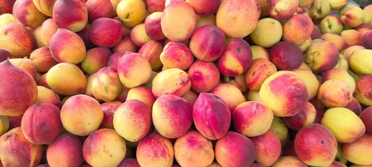 A pile of fresh ripe peach fruits.