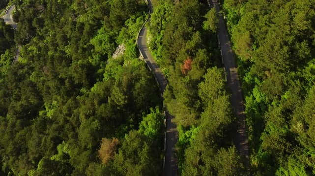 Vertical Video: motorcycle drives on the road in the forest in the mountains on a serpentine. View from above over a winding road in a green forest. Winding road in the mountains. Drone follows the