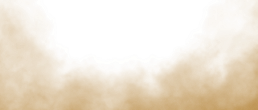 Dust sand soil smoke particles isolated on transparent white background. Brown sandstorm smog, dust explosion rising, dirty sand overlay, blurred PNG design elements