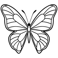 Butterfly line art vector