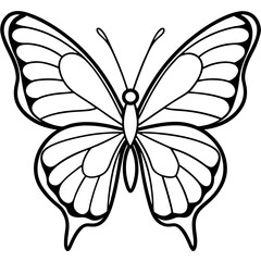 Butterfly line art vector