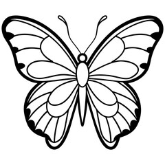 Butterfly line art vector