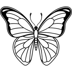 Butterfly line art vector