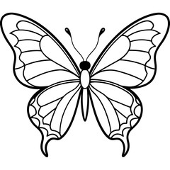Butterfly line art vector