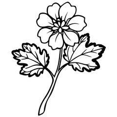 Vector illustration of a geranium flower on a white background with  colors perfect for design