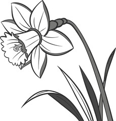Black and white lily of the valley flower, isolated on white with a floral vector illustration design