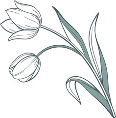 Elegant black and white floral vector illustrations for spring and summer design, featuring intricate flower, leaf, and branch silhouettes perfect for tattoo art and decorative patterns