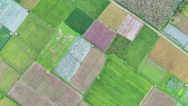 Aerial view of an agricultural landscape featuring geometric patchwork of fields