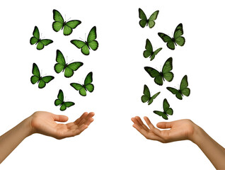 Green Butterflies in Hands PNG – 3D Symbol of Freedom, Nature and Environmental Transformation – Transparent Background
