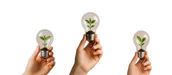 Sustainable Innovation PNG – 3D Light Bulbs with Growing Plants Held in Hands – Eco-Friendly Symbol – Transparent Background
