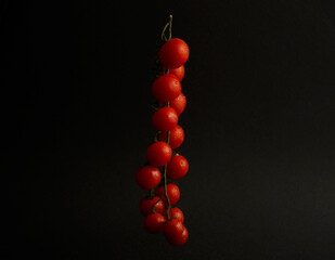 Fresh ripe tomatoes on the vine, glistening with water droplets against a dark background. A...