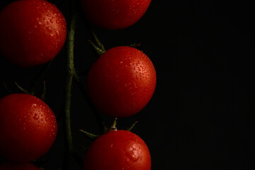Fresh ripe tomatoes on the vine, glistening with water droplets against a dark background. A...