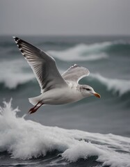 Seagull soaring gracefully above turbulent ocean waves, showcasing its wingspan against a dramatic cloudy sky, embodying freedom and the beauty of nature in motion