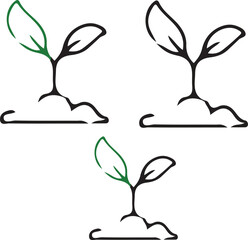 tree seeds vector illustration collections
