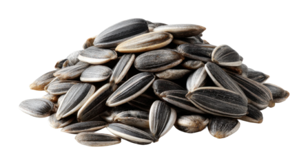 Harvesting sunflower seeds a nutritional delight home kitchen food natural light